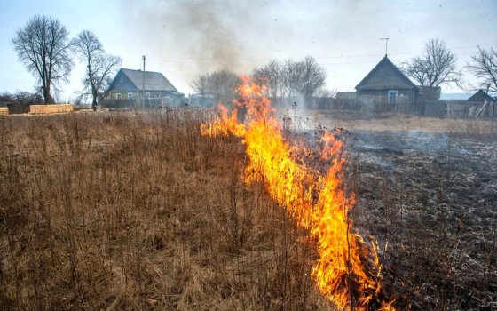 В Гусевском районе огонь от горящей травы едва не перекинулся на местное кладбище