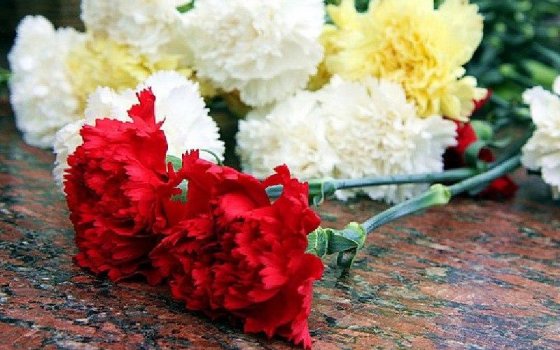 Делегация из города Гусева посетит братские захоронения советских воинов в Литве и Польше