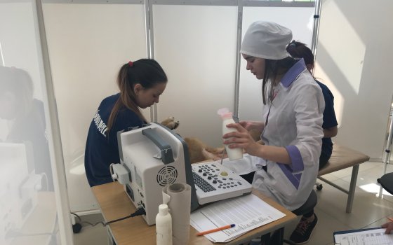 Студентка ветеринарного отделения ГАПК приняла участие в отборочных соревнованиях WorldSkills Russia