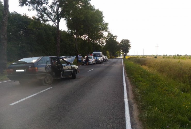 На автодороге «Поддубы-Гусев» автомобиль «Ауди» врезался в придорожное дерево
