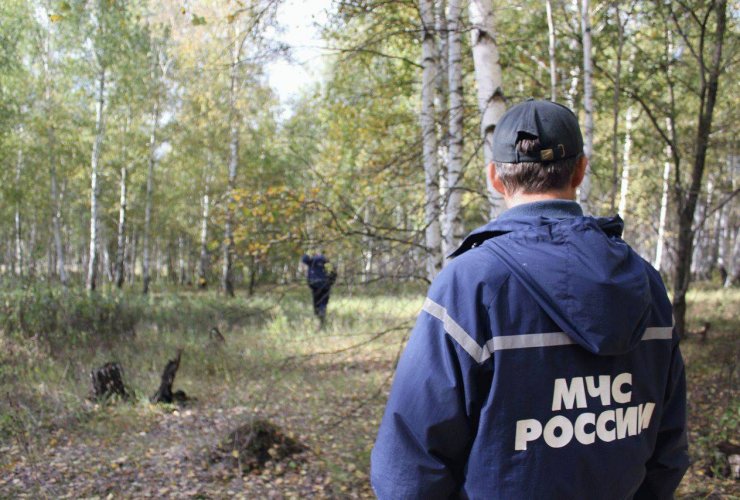 В Майском лесу спасатели разыскали заблудившуюся семью с ребёнком