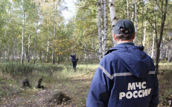 В Майском лесу спасатели разыскали заблудившуюся семью с ребёнком
