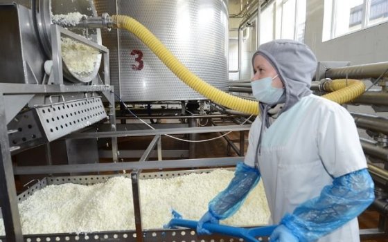 Завод «Гусевмолоко» модернизируют за 150 млн рублей