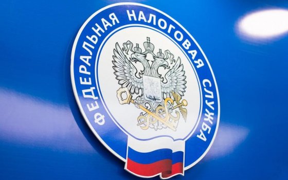 На сайте ФНС России размещены новые сведения, ранее относившиеся к налоговой тайне