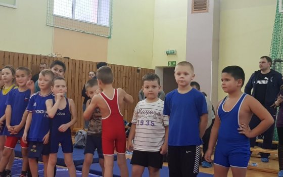 Гусевские борцы показали достойные результаты на областных соревнованиях в Нестерове