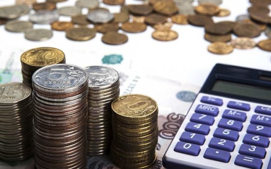 Окружной Совет депутатов принял бюджет на 2019 год