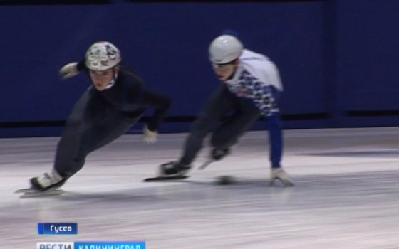 Гусев принимает международные соревнования по шорт-треку «BALTIK EVO-CUP»