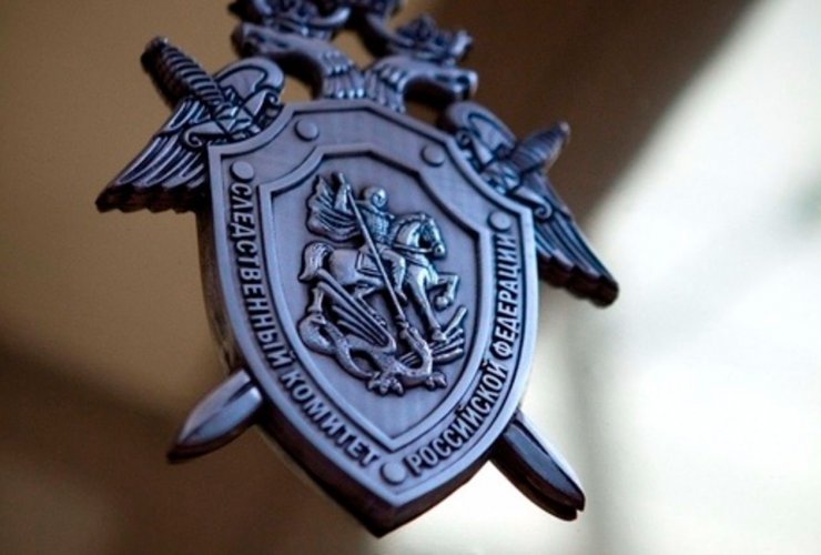 Мама девочки, на которую упал шкаф, написала обращение в Следственный комитет