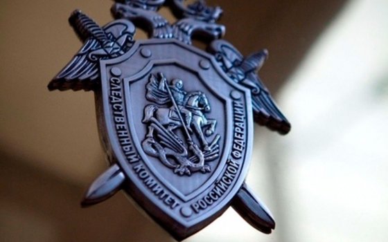 Мама девочки, на которую упал шкаф, написала обращение в Следственный комитет
