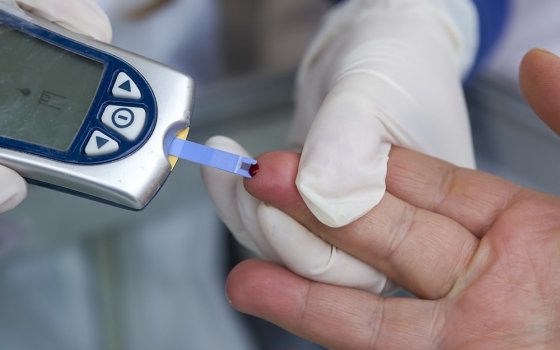 Из 356 обследованных гусевцев 7,3% имеют повышенный сахар в крови