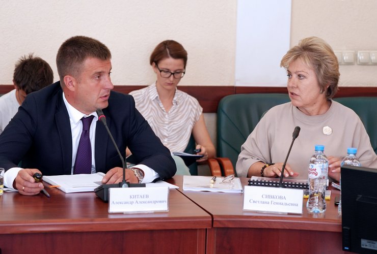 На совете по культуре при губернаторе обсудили концепцию проекта «Русская победа спасла Париж»