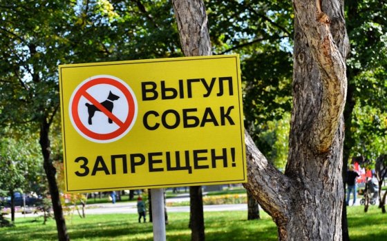 Площадки для выгула собак в Гусеве планируется огородить