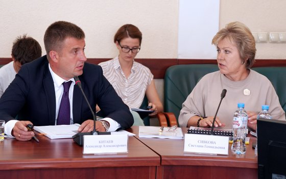 На совете по культуре при губернаторе обсудили концепцию проекта «Русская победа спасла Париж»
