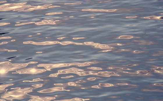 Независимое расследование показало, что стоки Гусевских очистных не соответствуют допустимым нормам