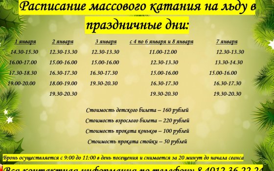 Расписание массового катания на льду в ФОКе в праздничные дни