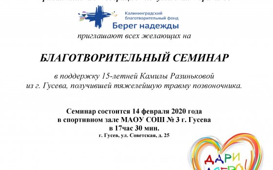 14 февраля федерация киокушинкай каратэ-до города Гусева приглашает на благотворительный семинар