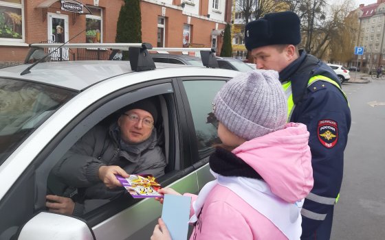 ГИБДД и юные инспекторы движения провели акцию «Дисциплинированный водитель — лучший защитник Отечества»