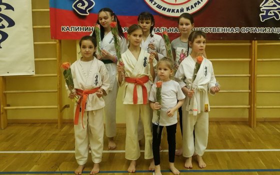В Гусеве прошёл судейский семинар по каратэ-до