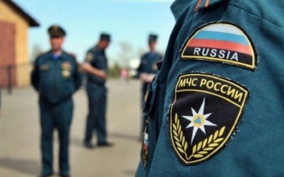 В Гусеве в лесном массиве обнаружены три артснаряда времен Великой Отечественной войны