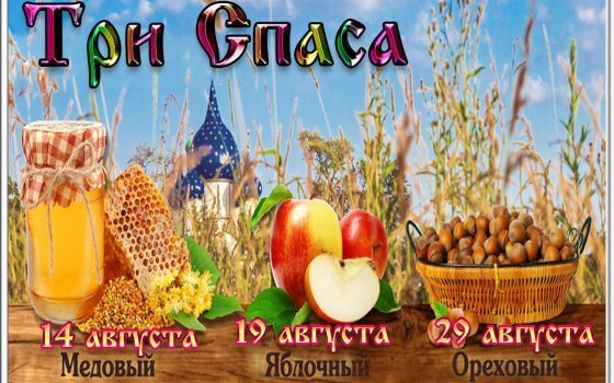 Городская библиотека проводит онлайн-викторину «Три Спаса»