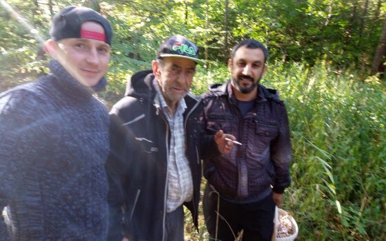 В Гусевском городском округе вывели из леса заблудившегося грибника