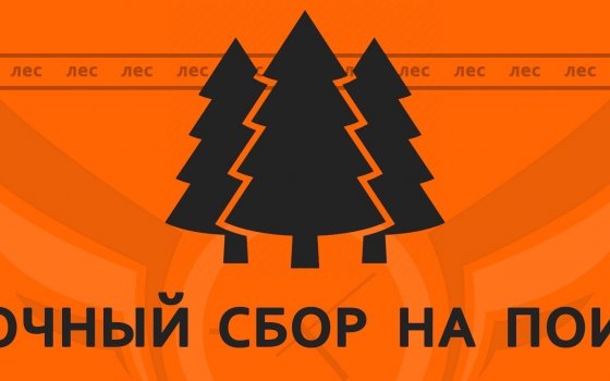 Ведется сбор добровольцев на поиски заблудившихся женщин в Майском лесу