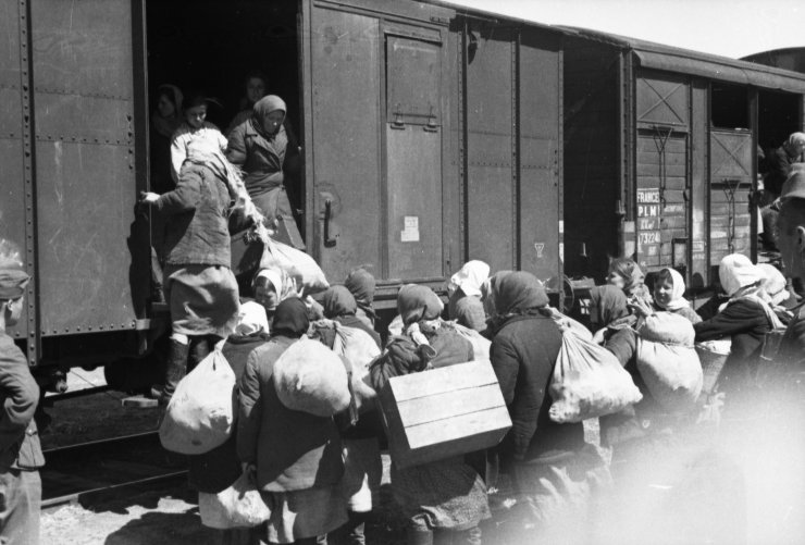 Первыми переселенцами стали 715 жителей сильно пострадавшей в годы войны Брянской области