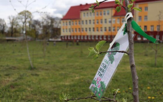Гусев присоединился к Международной акции «Сад памяти»