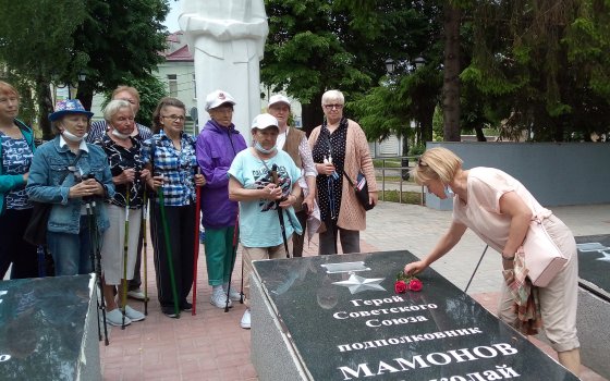 В краю ветряных мельниц