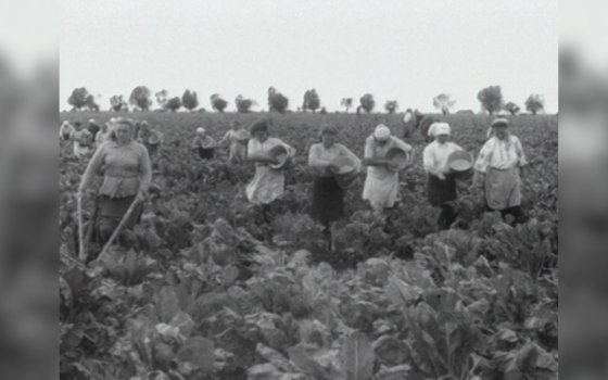 23 августа 1946 года в Гусев прибыл первый эшелон с переселенцами