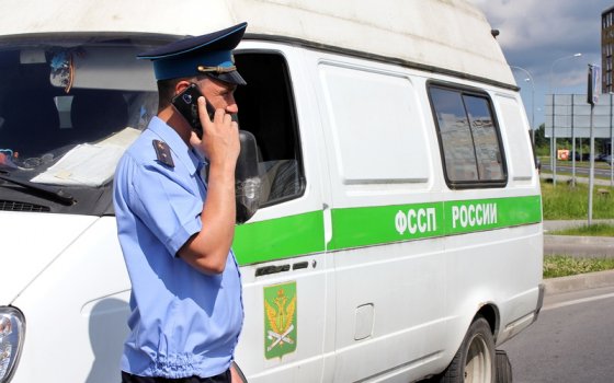 Жительница Гусева привлечена к уголовной ответственности за неуплату алиментов