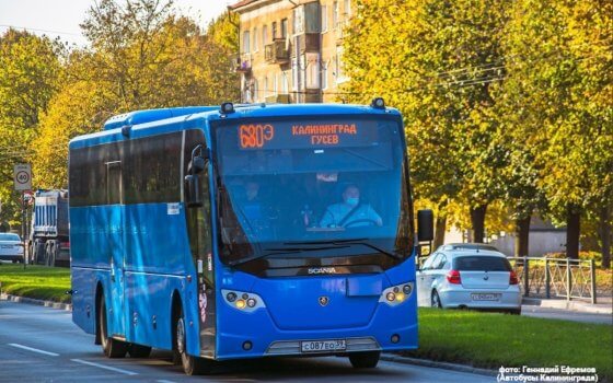 Актуальное расписание автобусов в Гусеве по межмуниципальным маршрутам