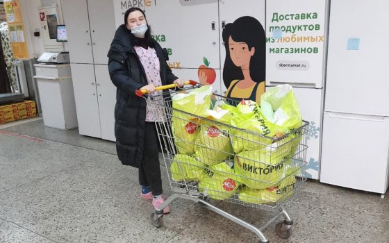 Гусевские волонтеры собрали средства для приюта бездомных кошек