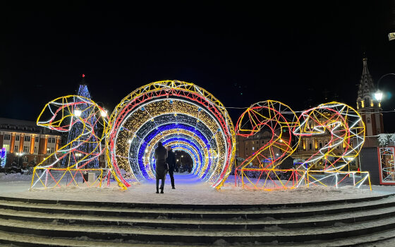 Новогодний Гусев — 2022