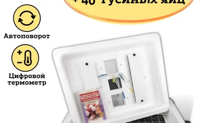 Животные и Растения