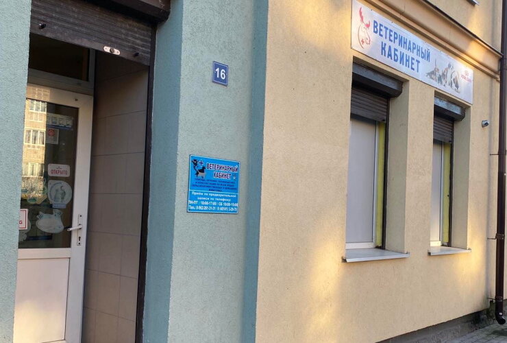 Предприниматель из Гусева открыла ветеринарный кабинет в Черняховске