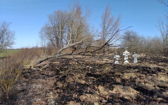 В Калининградской области волонтеры установят мемориал 104 бойцам Первой мировой войны