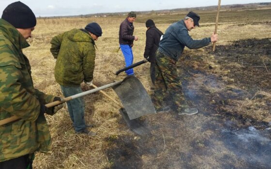 В гусевском округе продолжаются поджоги сухой травы