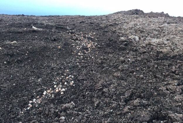 «Вонь невыносимая»: жители посёлка Поддубы жалуются на компанию Долговых