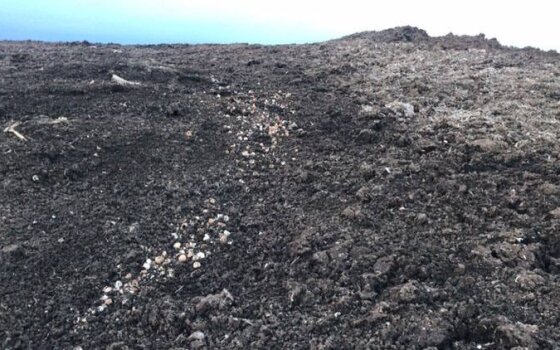 «Вонь невыносимая»: жители посёлка Поддубы жалуются на компанию Долговых