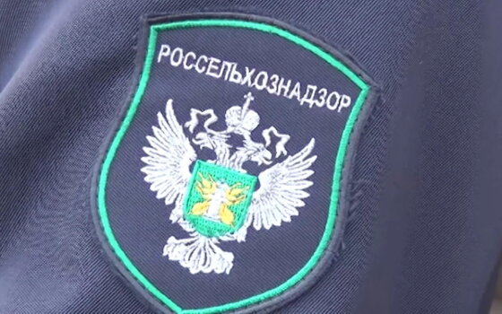 На границе остановили 20 тонн шкур крупного рогатого скота из Гусева