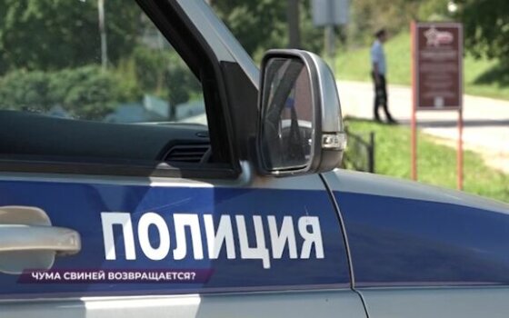 «Оцепление и зона отчуждения». Как на востоке Калининградской области тушат очаги АЧС
