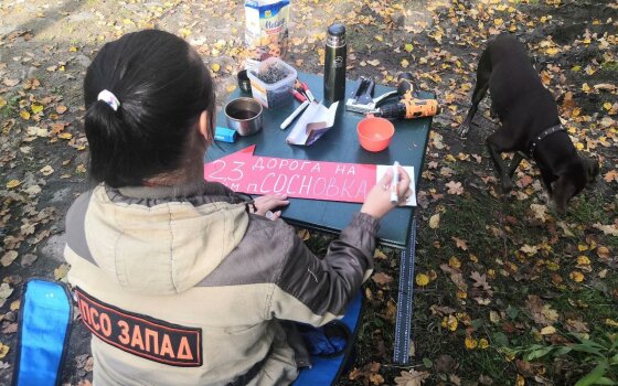 В лесах Калининградской области установят стрелки-навигаторы