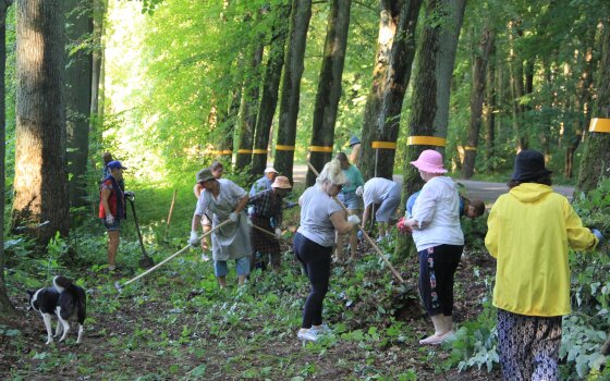 Неравнодушные гусевцы расчистили в ГРЭСовском лесу дорожку