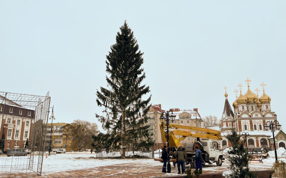 Немного фотографий гусевской городской ёлки