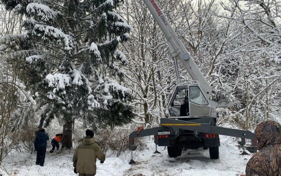 Сегодня вечером в Гусев доставят главную городскую ёлку