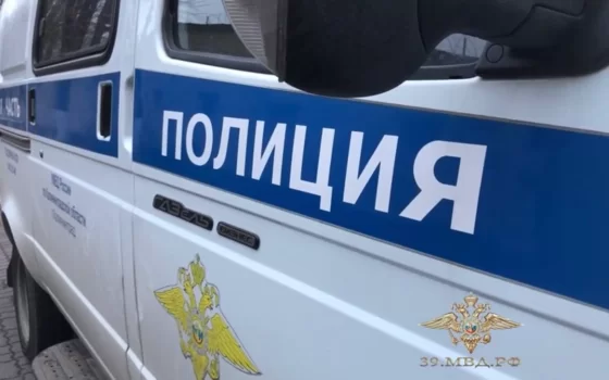 Гусевские полицейские раскрыли кражу автомобиля и вернули его законному владельцу