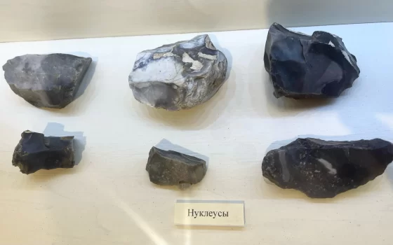 «История одного предмета»: осколки камней на первичной стадии производства орудий в древности