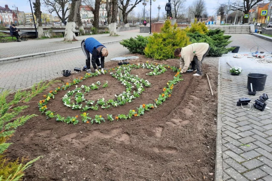 В городских скверах яркими красками заиграли цветочные клумбы