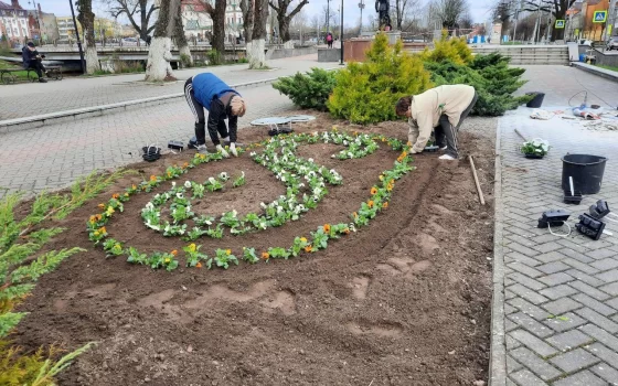 В городских скверах яркими красками заиграли цветочные клумбы